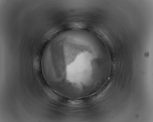 X0000100480359200806201635