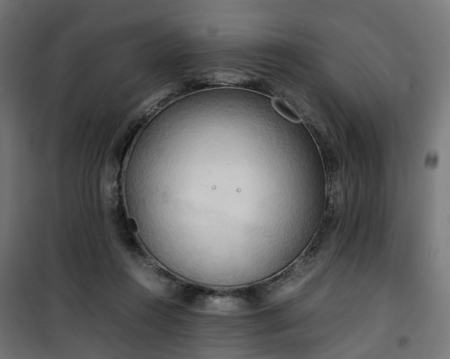 X0000100480360200806201635