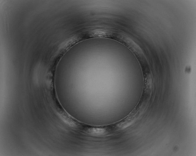 X0000100480361200806201635
