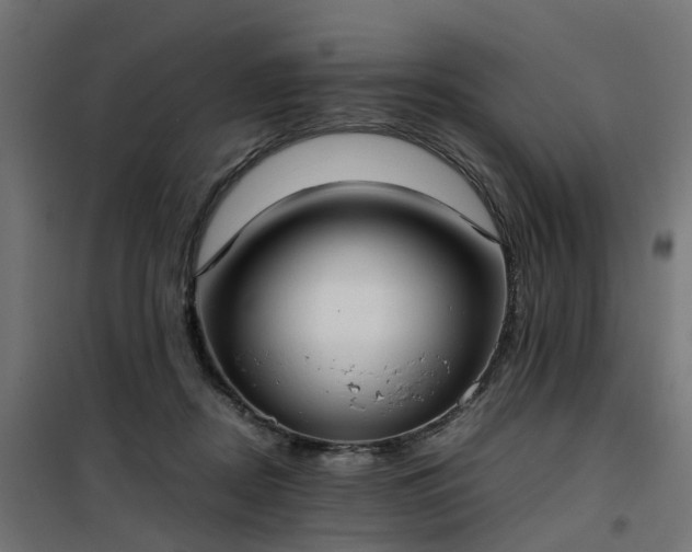 X0000100480362200806201635