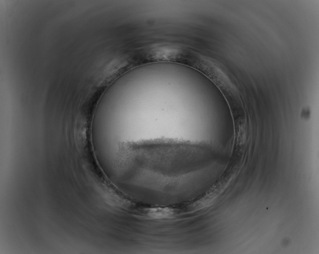X0000100480363200806201635