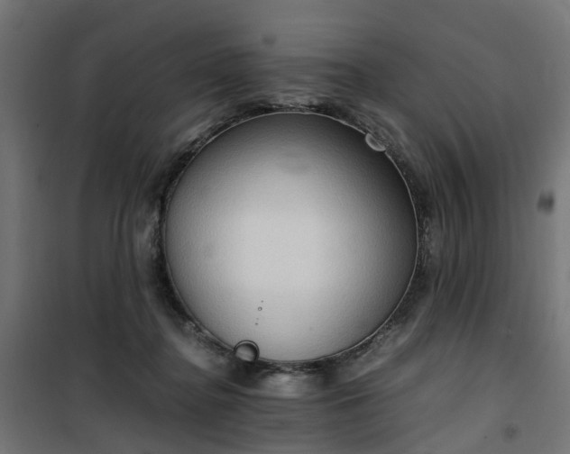 X0000100480364200806201635