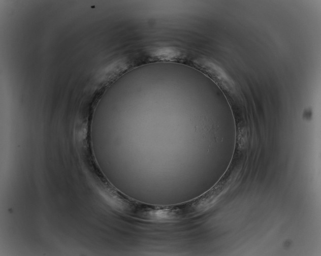 X0000100480365200806201635