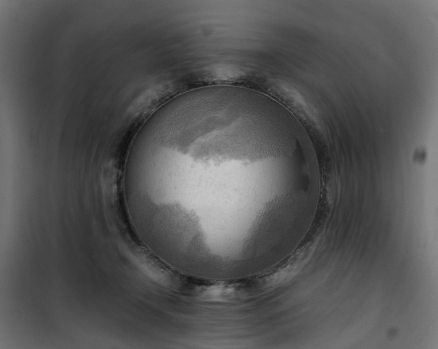 X0000100480366200806201635