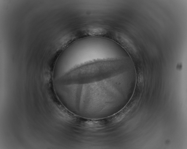X0000100480367200806201635