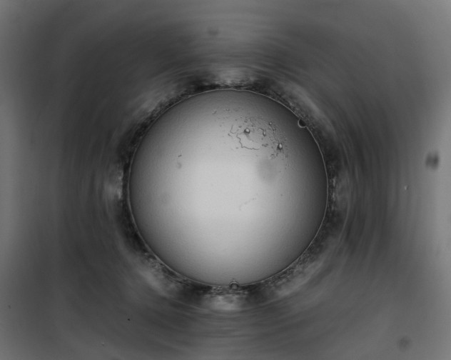 X0000100480368200806201635