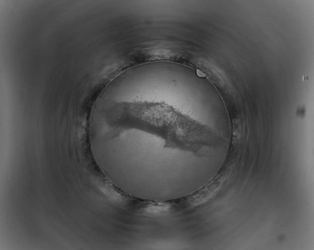 X0000100480369200806201635