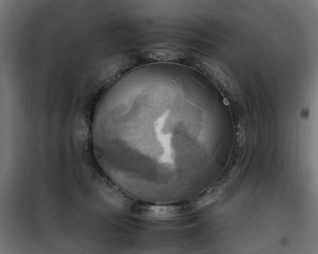X0000100480371200806201635