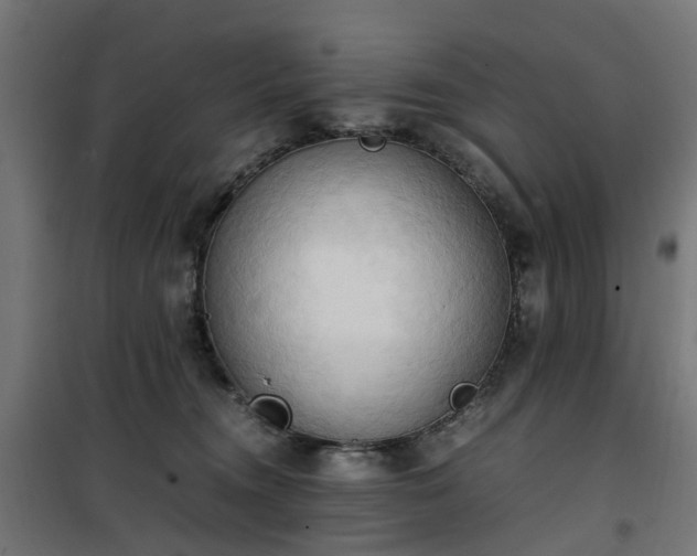 X0000100480372200806201635