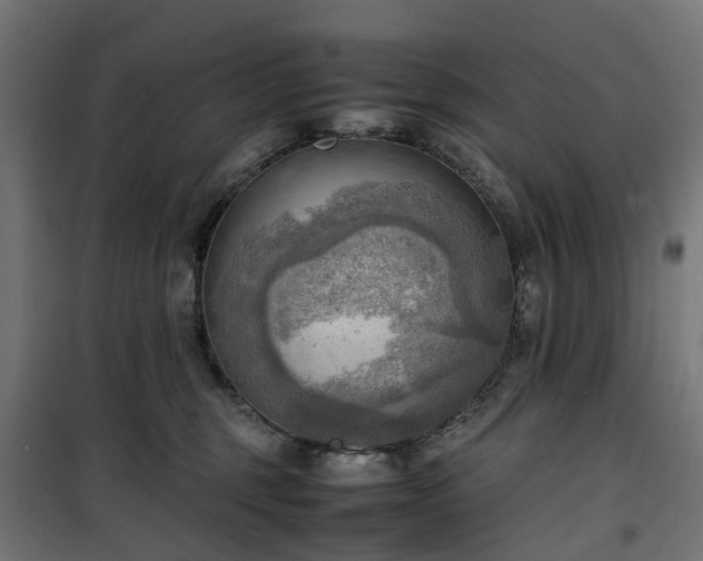 X0000100480375200806201635