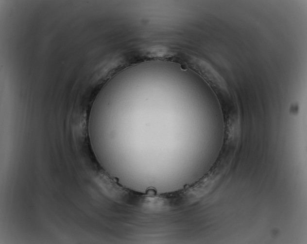 X0000100480376200806201635