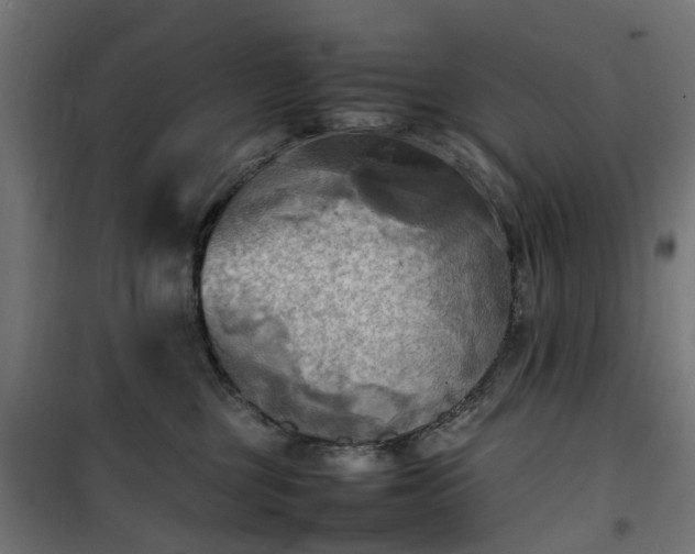 X0000100480377200806201635