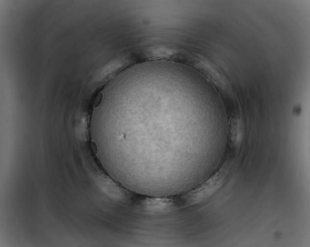 X0000100480378200806201635