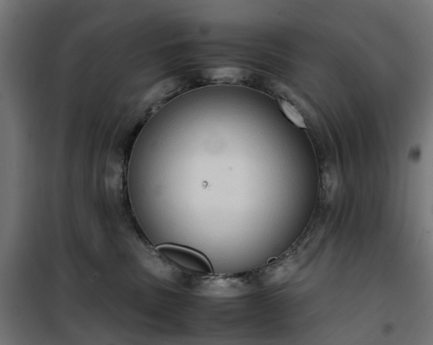 X0000100480379200806201635