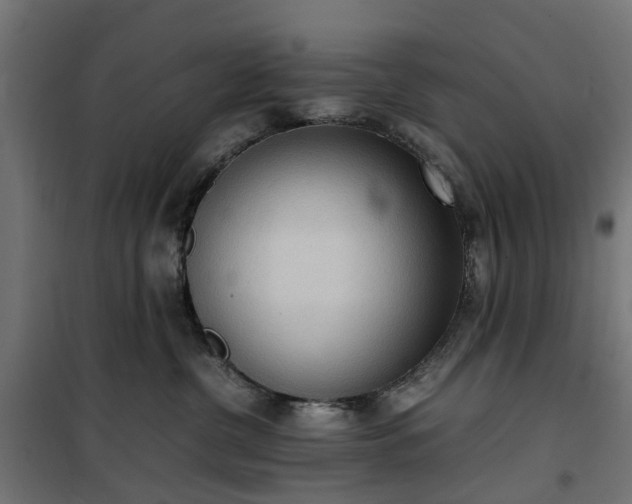 X0000100480380200806201635