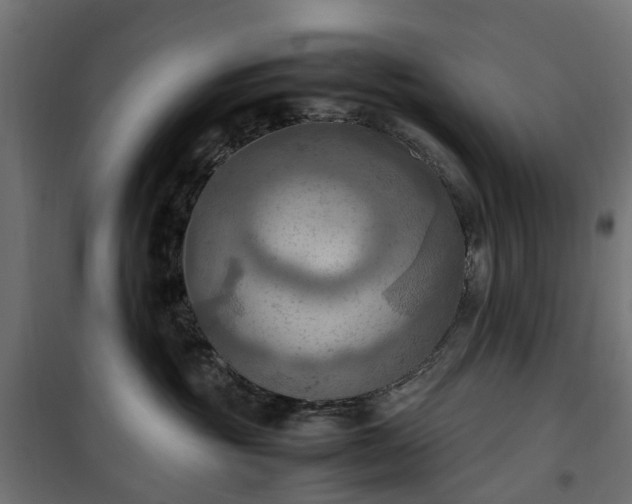 X0000100480381200806201635