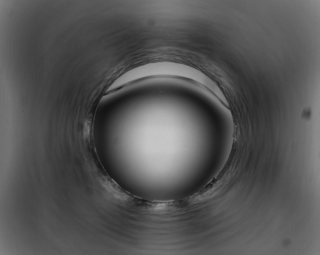 X0000100480382200806201635