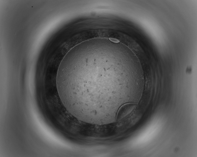 X0000100480383200806201635