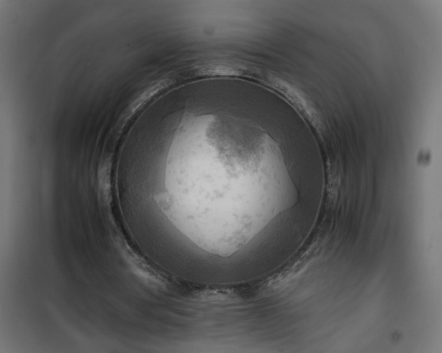 X0000100480386200806201635