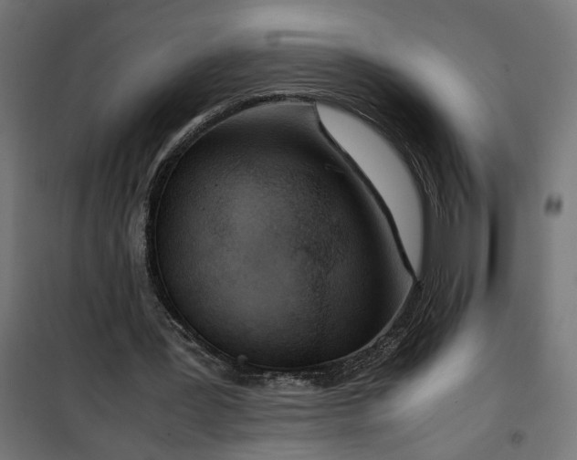 X0000100480387200806201635