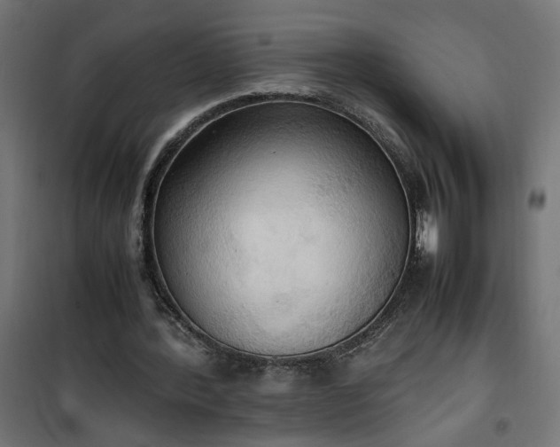 X0000100480388200806201635
