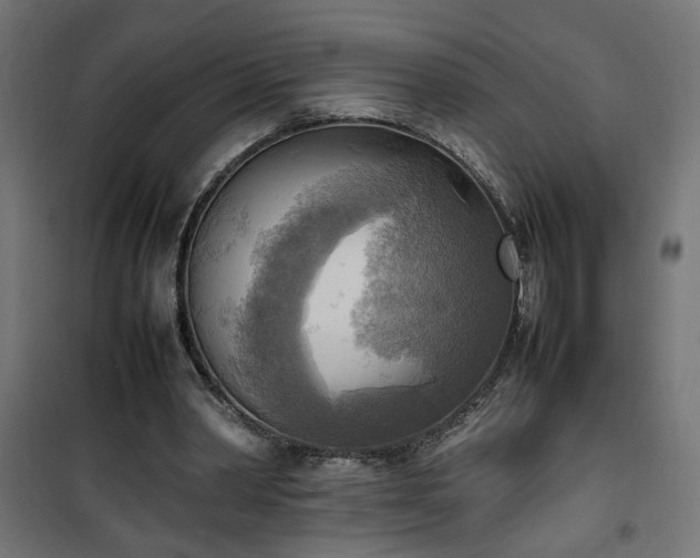 X0000100480390200806201635