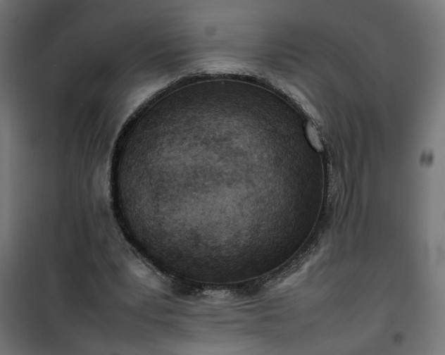 X0000100480391200806201635