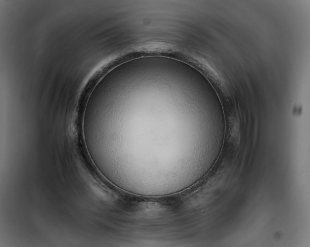 X0000100480392200806201635