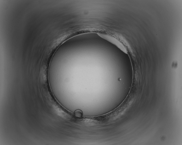 X0000100480393200806201635