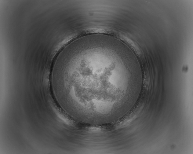 X0000100480394200806201635