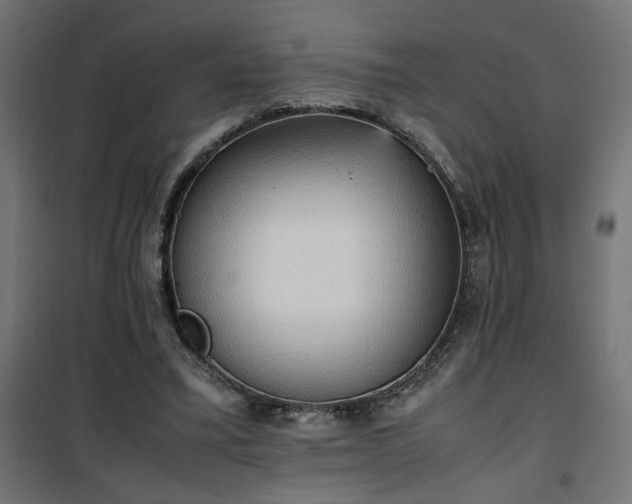 X0000100480395200806201635