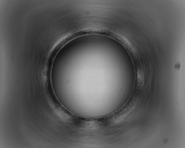 X0000100480396200806201635