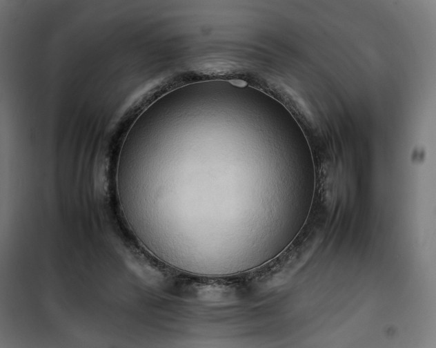 X0000100480400200806201634