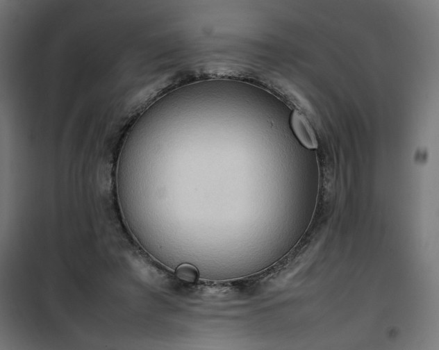 X0000100480401200806201634