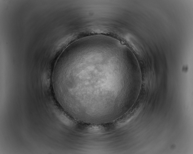 X0000100480402200806201634
