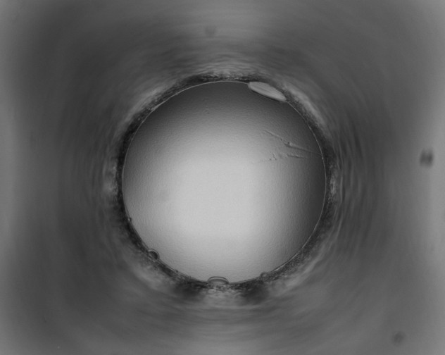 X0000100480403200806201634