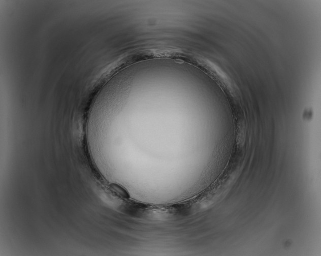 X0000100480405200806201634
