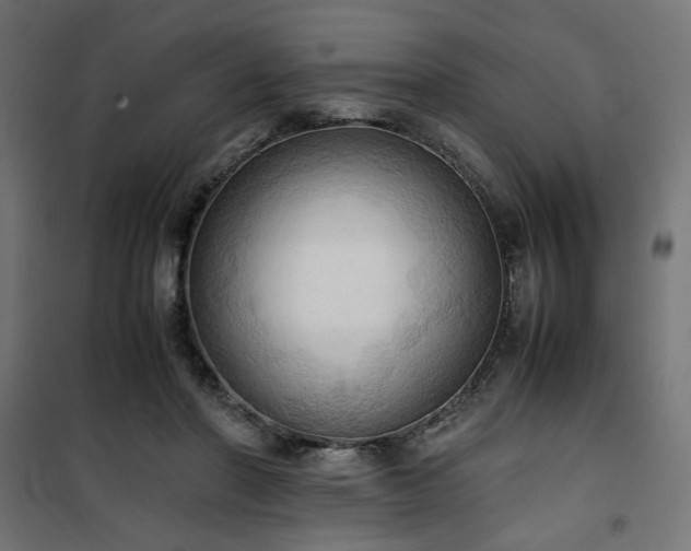 X0000100480406200806201634