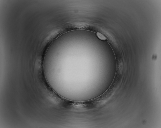 X0000100480407200806201634