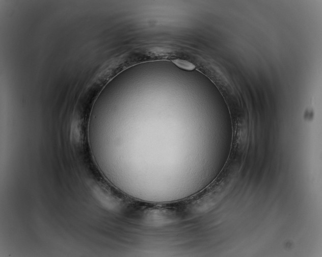 X0000100480408200806201634
