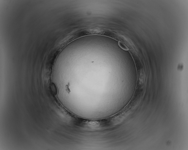 X0000100480409200806201634