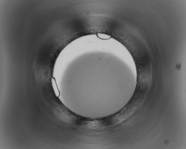 X0000100480411200806201634