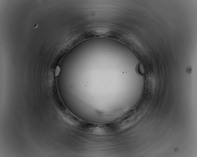 X0000100480412200806201634