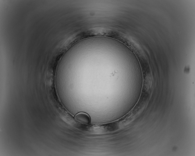 X0000100480413200806201634