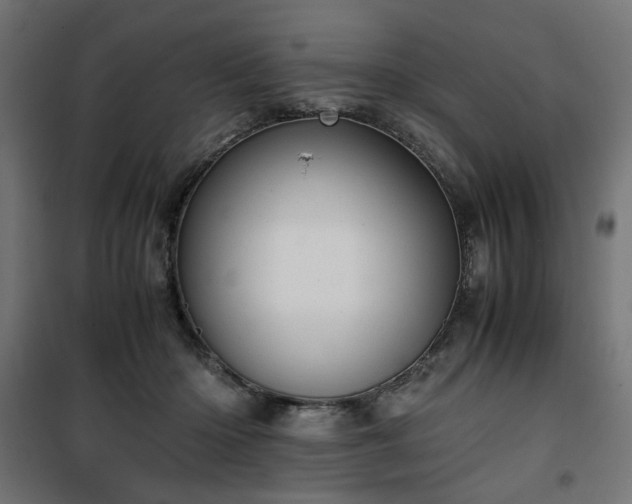 X0000100480414200806201634