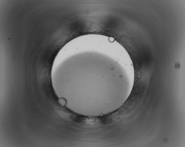 X0000100480415200806201634