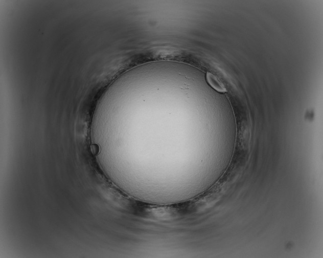 X0000100480417200806201634