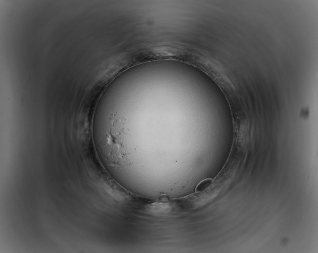 X0000100480418200806201634