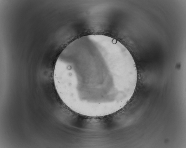 X0000100480419200806201634