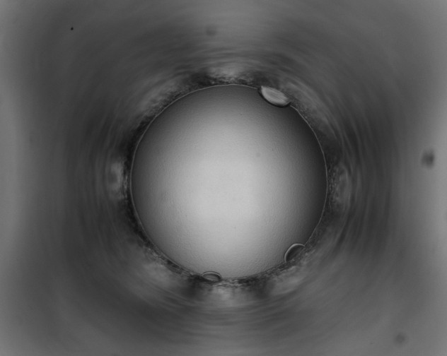 X0000100480420200806201634